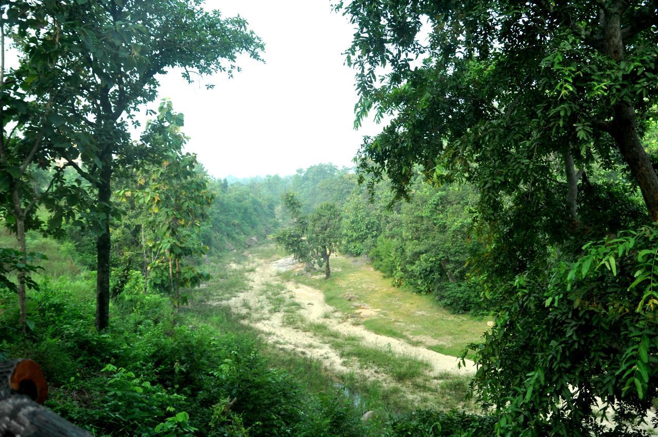 The Riverwood Forest Retreat Pench Khawāsa Exteriör bild